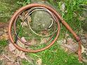 8ft Natural Tan 12 plait Indy Style Bullwhip with Custom 7x6 knot B